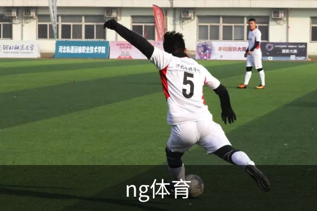 ng体育公司介绍